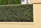 Cockatoo VIChard-landscaping-surfaces-8.jpg; ?>